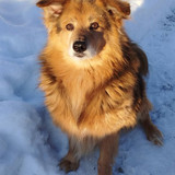 G A1AxkXEAApfPF?format=jpg.jpg