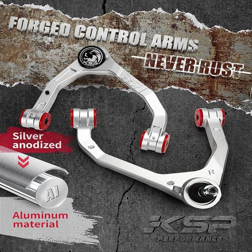 915aqNWXv7L. AC SX679 (1).jpg