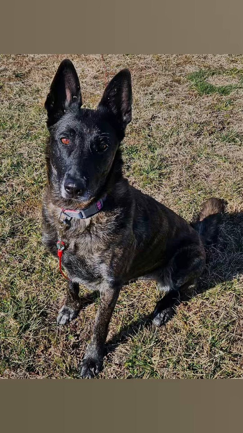 VRFIzvE7bUQp P3C.jpg