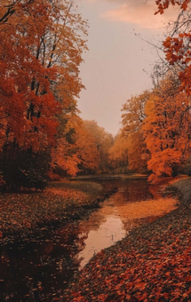 Untitled design (28).png