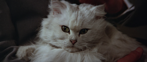 vlcsnap 2026 01 19 11h26m28s305.png