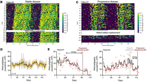 G 8zSFLXUAA6VWU?format=jpg.jpg
