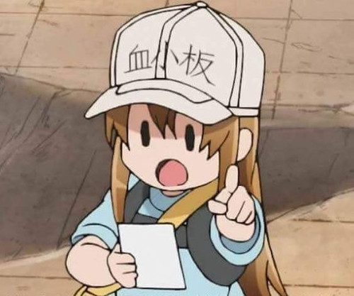 image.jpg