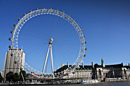 image 376.jpg