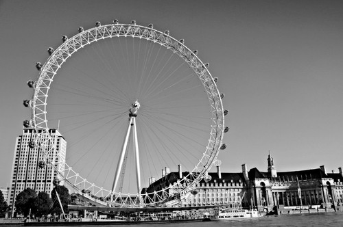 image 377.jpg