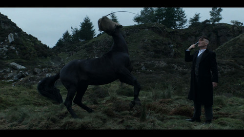 Peaky.Blinders.S05E01.Black.Tuesday.2160p.NF.WEB DL.EN.DD+5.1.Atmos.DoVi.HDR.H.265 PAXA.mkv 20260120