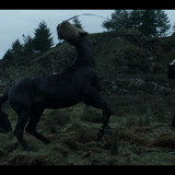 Peaky.Blinders.S05E01.Black.Tuesday.2160p.NF.WEB DL.EN.DD+5.1.Atmos.DoVi.HDR.H.265 PAXA.mkv 20260120