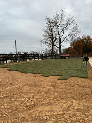 From Delivery To Installation Grass Sod In Alexandria.jpg