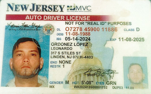 Leonardo Ordonezlopez license image.jpg