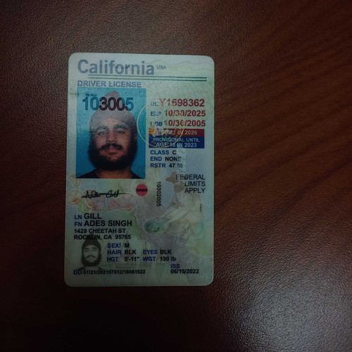 Ades Singh Gill license image.jpg