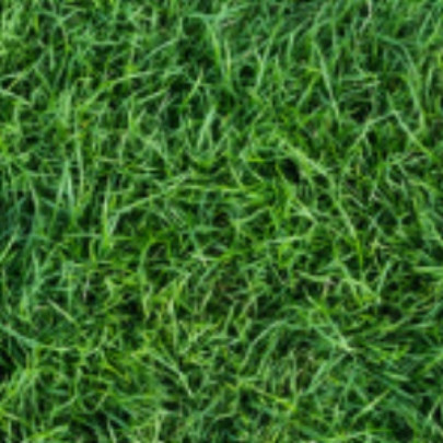 square crop.jpg