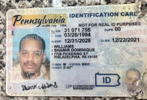 Shamir Dominique Williams license image.jpg