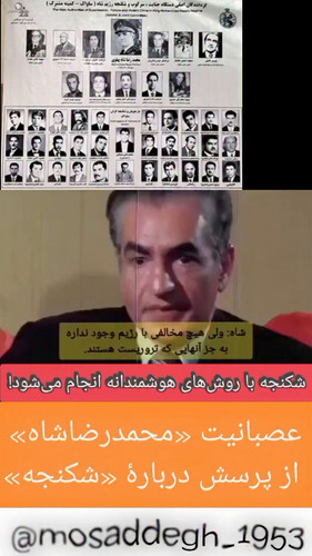 uqm9 sYeIrMolBnP.jpg