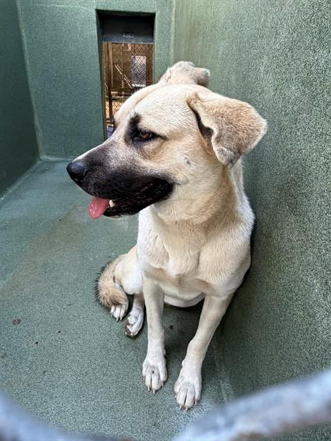 G 6II0PXsAED88s?format=jpg.jpg