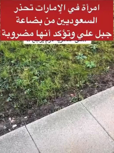 ch673m3P 9EYvxNr.jpg