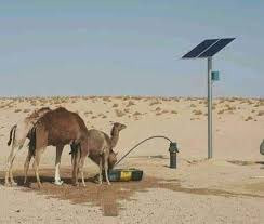 G BV7eAXMAEep6a?format=jpg.jpg