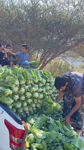 PVp qvKL cMGFpqQ.jpg