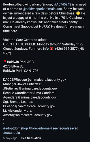 G 9G6ncXgAEajcQ?format=jpg.jpg