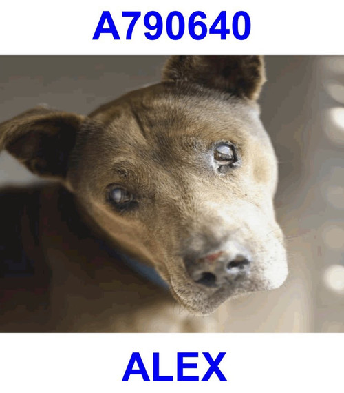 G uB8P bQAUVIZ6?format=jpg.jpg