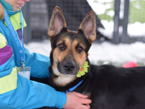 G ahWS5WIAAZfU4?format=jpg.jpg