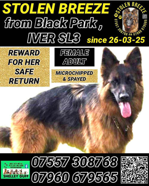 G 6VlQyWIAA6QbR?format=jpg.jpg