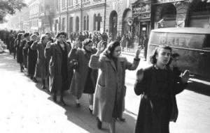 615561252 1416243069857787 1766558957115528690 n.jpg? nc cat=104&ccb=1 7& nc sid=833d8c& nc ohc=ZLS .jpg