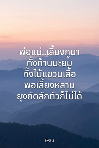 69158514a842.jpg