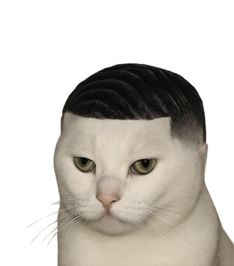 1000001851.png
