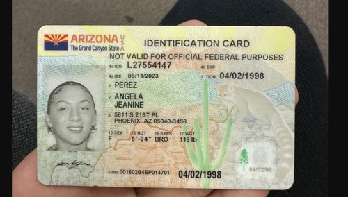 Angela Jeanine Perez license image.jpg