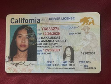 Amanda Violet Rakauskas license image.jpg