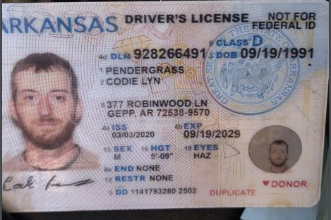 Codie Lyn Pendergrass license image.jpg
