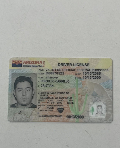 Christian Portillo Carrillo license image.jpg