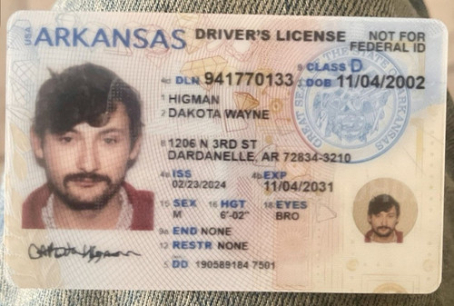 Dakota Higman license image.jpg
