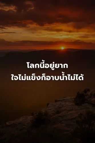 8ffbc56e81a4.webp
