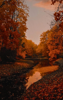 Untitled design (31).png