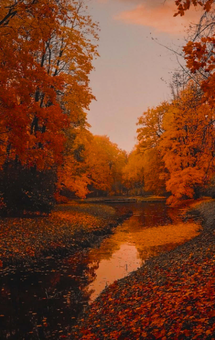 Untitled design (30).png