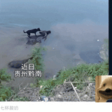 image 1761400113321.gif