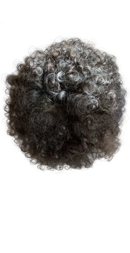 Untitled260 20260119084331.png