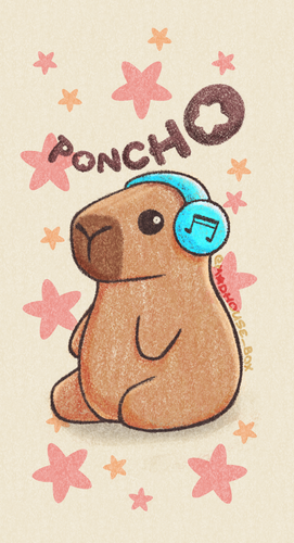 Poncho 06 07 2025.png