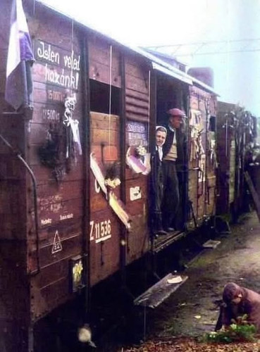 615443634 1373596157898728 160946051546905518 n.jpg?stp=dst jpg p526x296 tt6& nc cat=104&ccb=1 7& nc.jpg