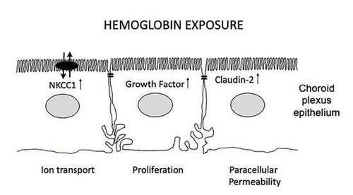 G wMxgBaQAAnkES?format=jpg.jpg