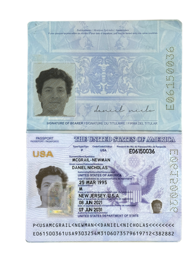 Daniel Nicholas McGrail Newman.png