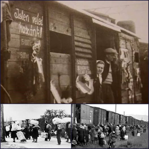 616371406 1447717706798366 5926480009535142881 n.jpg?stp=dst jpg p526x296 tt6& nc cat=107&ccb=1 7& n.jpg