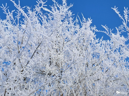 G BwphiXgAAceLP?format=jpg.jpg