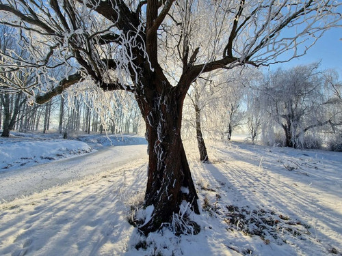 G BwphkWMAA5Q8t?format=jpg.jpg