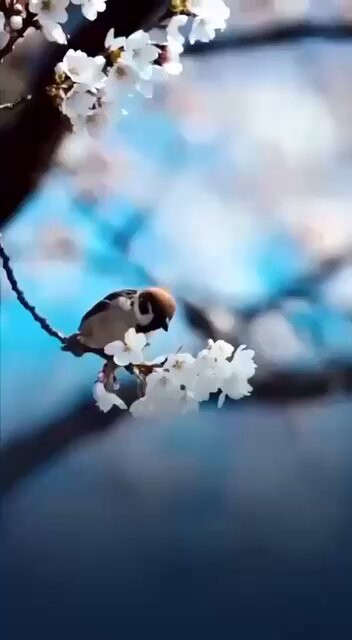 D hy978DWo PjL94.jpg