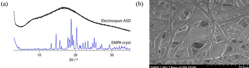 Figure 1.jpg
