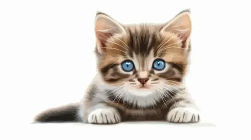 котенок тест.webp