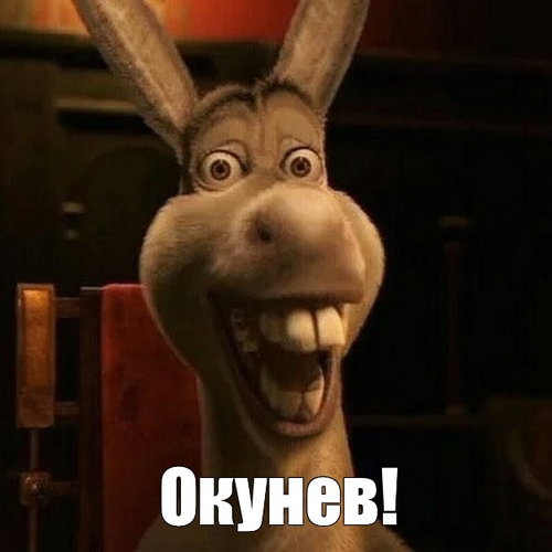 IMG 2778.png