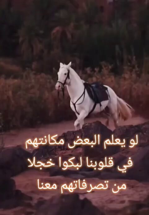 xLFR8RDYrbVIwA7c.jpg